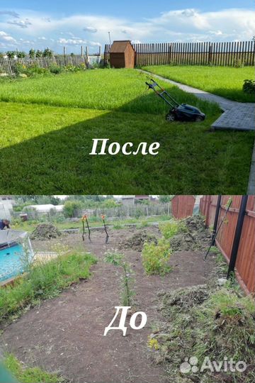 Газон (посев газона)