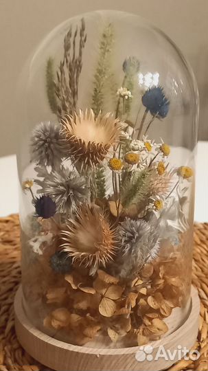 Клош стеклянный с сухоцветами