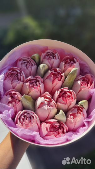 Зефирные тюльпаны