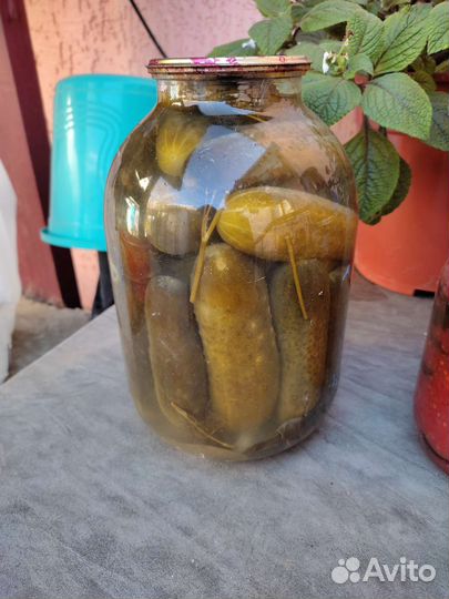 Домашняя консервация