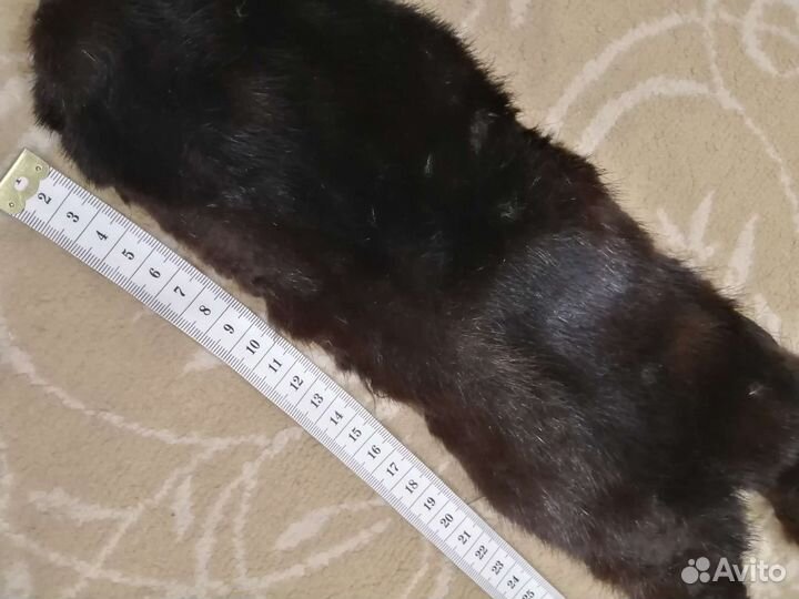 Шкурка животного
