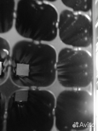 Кассеты глубокие для сеянцев деревьев и рассады