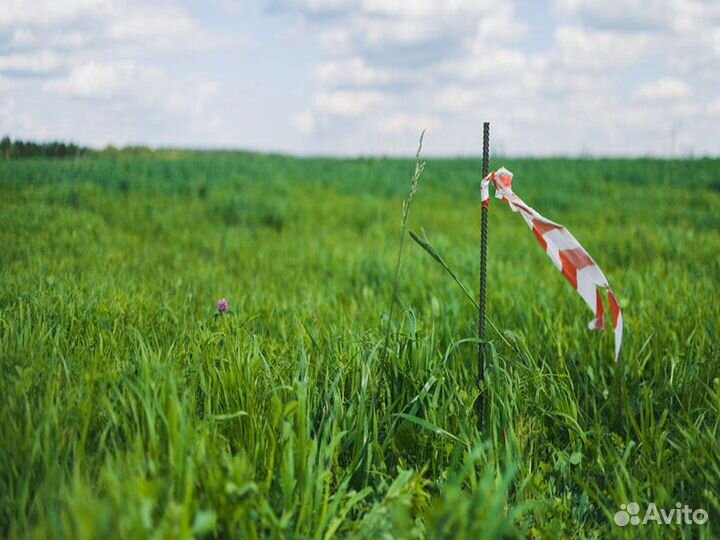 Вынос границ земельного участка