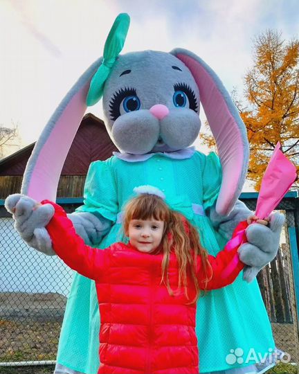 Ростовые куклы, экспресс поздравления)