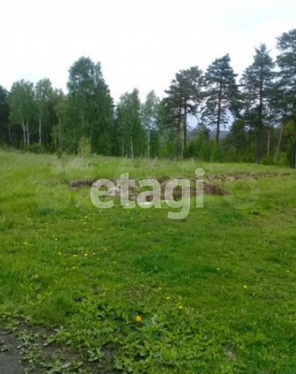 Участок 24 га (СНТ, ДНП)