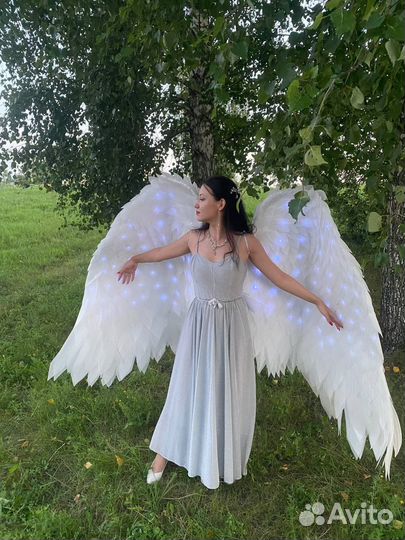 Крылья ангела в аренду