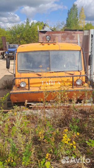 Снегоболотоход ттм 3902тп-01