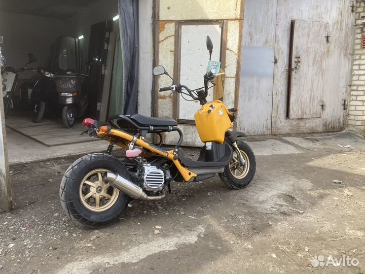 Honda zoomer ruckus