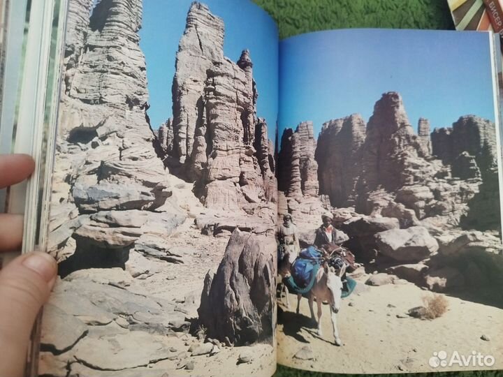 Книга Живая Планета Дэвид Эттенборо 1981