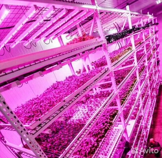 Лампа для растений