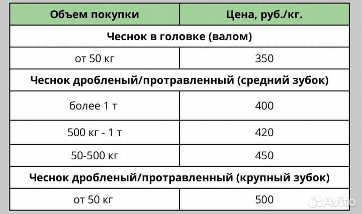 Озимый чеснок оптом