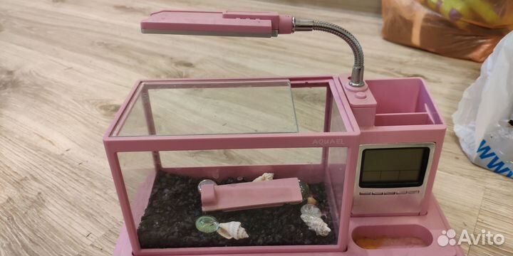 Мини аквариум настольный