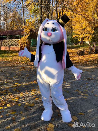 Ростовая кукла Поздравление от зайки