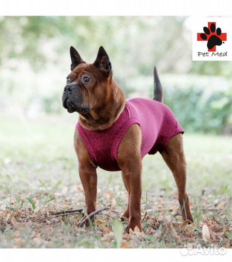 Послеоперационная попона для собак и кошек