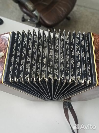 Гармонь Беларусь