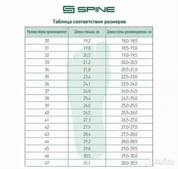 Ботинки лыжные NNN Spine X-Rider 254 46 р