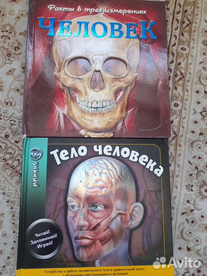 Книга тело человека