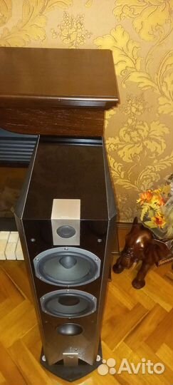 Focal Chorus 816 V