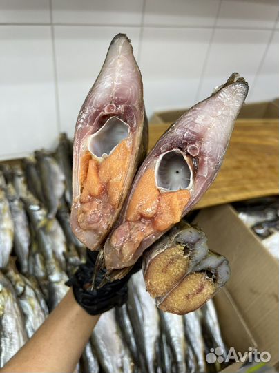 Корюшка Камчатская Икорная