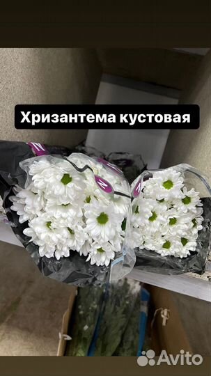 Цветы