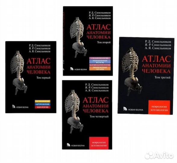 Атлас анатомии человека Синельников