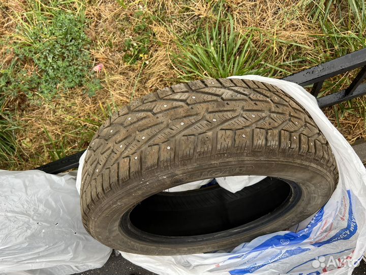 Tigar Ice 205/55 R16