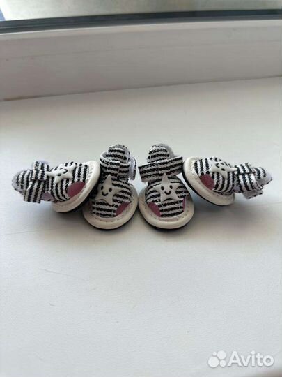 Обувь для собак