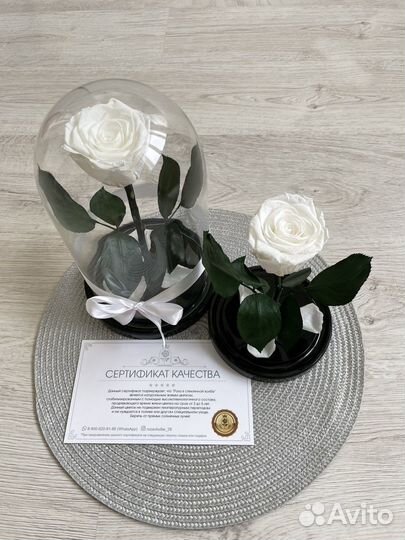 Роза в колбе