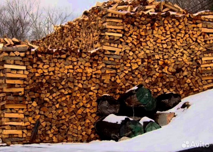 Дрова понимающих