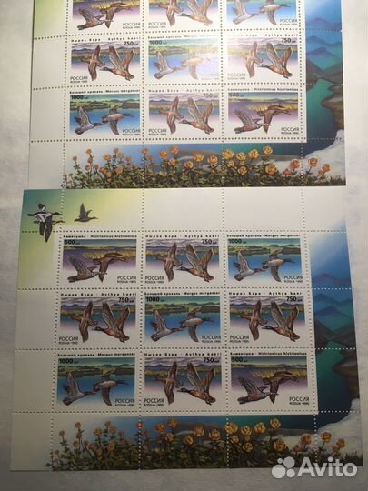 Малый лист марки «Утки» 1995