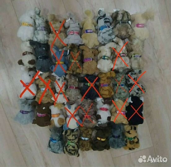 Журналы и кошки The cat collection