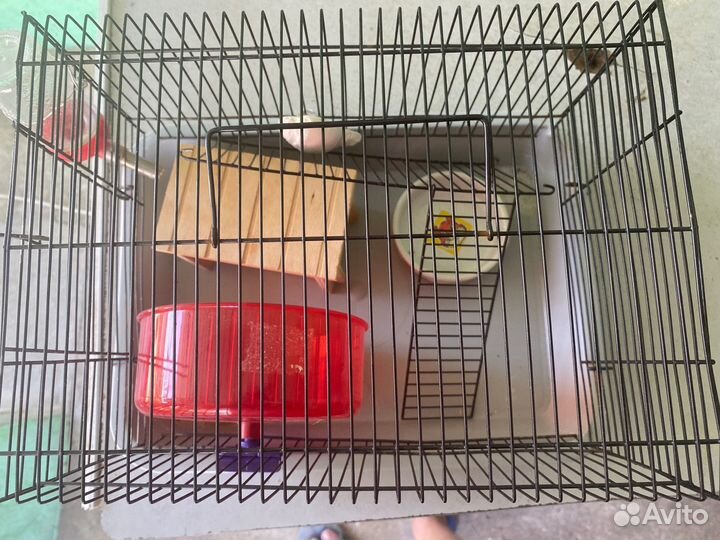 Клетка для хомяка