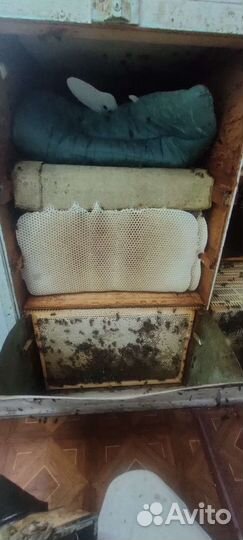 Павильон для пчел