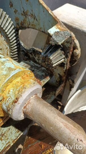 Тестомес вилочный