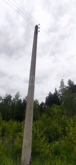 Участок 10 сот. (ИЖС)