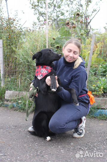 Подросток Берта бесплатно