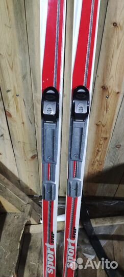 Беговые лыжи