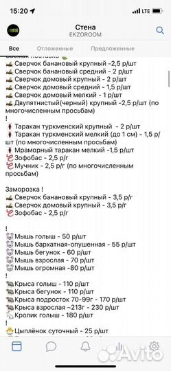 Сверчки кормовые, тараканы кормовые