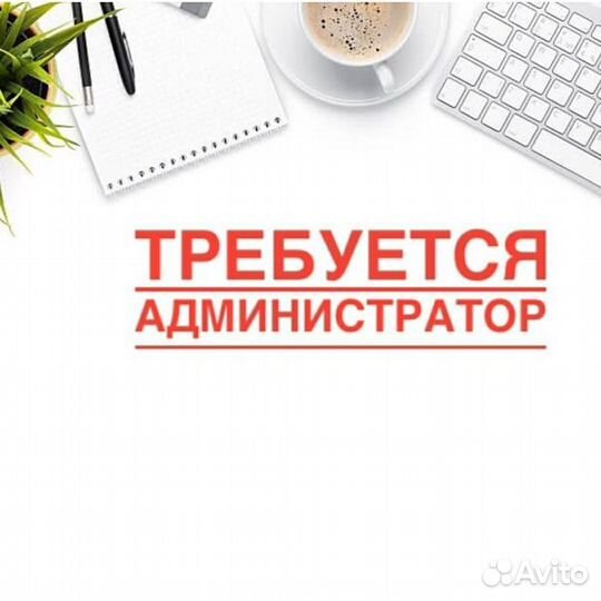 Администратор бровист