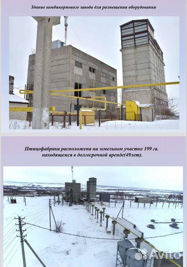 Птицефабрика, на производво кур яйцо, Ульянов, обл