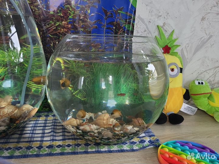 Аквариум с рыбками
