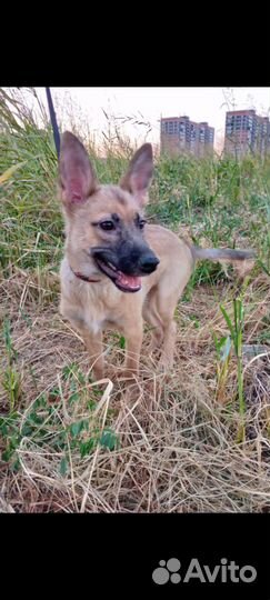 Молоденькая девочка