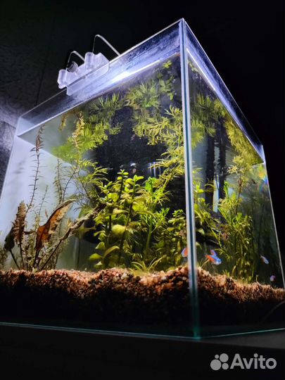 Аквариум