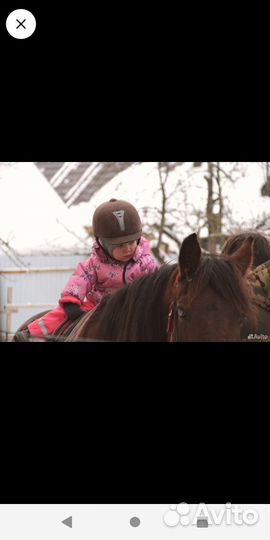 Катание на лошадях, конные прогулки, верховая езда