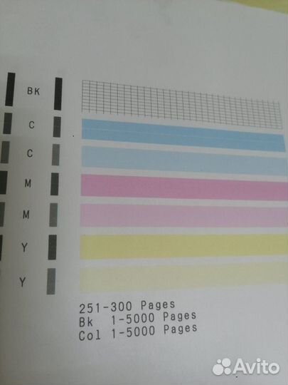 Пищевой принтер для кондитеров Canon Pixma