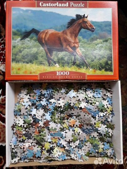 Рама +Пазл бегущая лошадь 68 на 47 см, 1000 детале