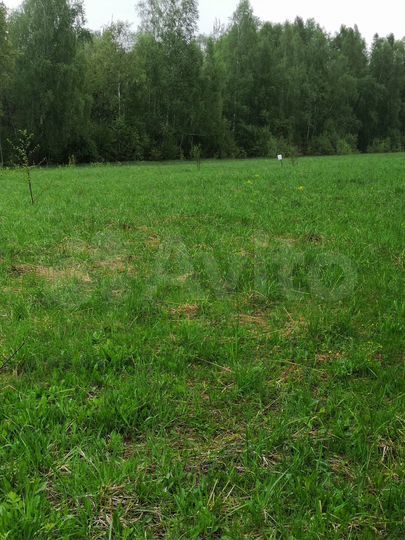 Участок 25 сот. (СНТ, ДНП)