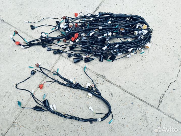 Коса проводка Minsk r250