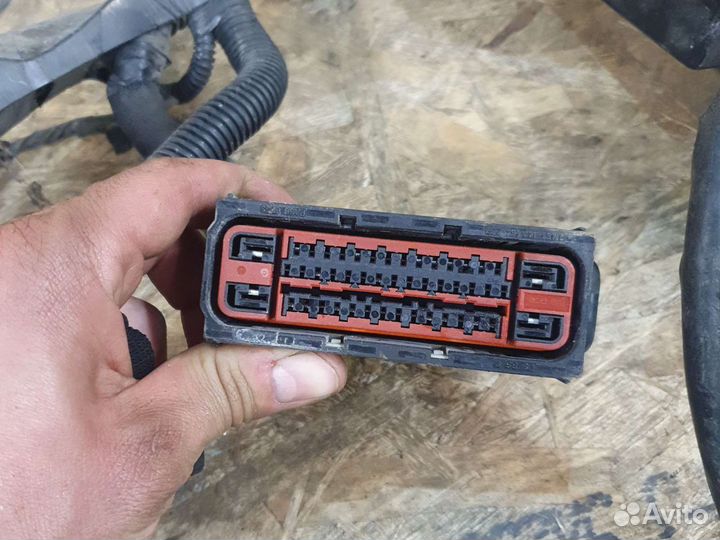 Проводка подкапотная форд фокус 2