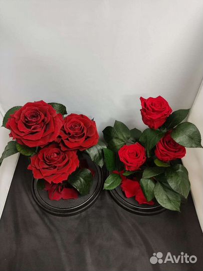 Роза в колбе оптом